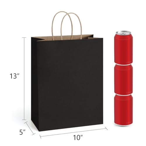 BagDream 100Pack 10x5x13 Black Paper Bags with Handles Bulk Kraft Recycled Paper Shopping Bags for Gifts, Merchandise, Retail, Party Favor Gift Sacks - color: Black