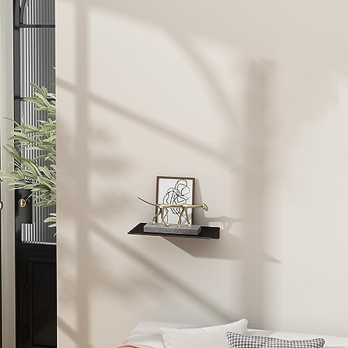 Danpoo 8 inch Small Floating Shelf for Wall Organizer & Storage, Mini Display Shelf, Metal Wall Shelf for Bathroom, Living Room, Kitchen, Bedroom(Matte Black) - color: Black, size: 8 in