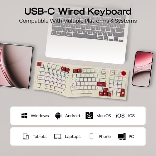 MechLands Feker Alice98 Ergonomic 98 Keys Custom Mechanical Keyboard, VIA Programmable, USB-C Wired Gaming Keyboard, Hot Swappable, 5 Layer Paddings, Control Knob, NKRO, RGB for Win/Mac (Beige) - color: Beige