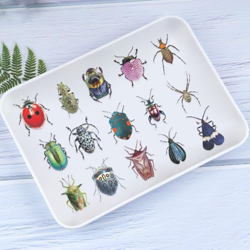 Realistic Bug Stickers, Transparent PET Insect Decals,100Pcs Waterproof Butterfly Dragonfly Bee Beetle Stickers for Scrapbooking Journals Card Making DIY Crafts Adults - style: Insect