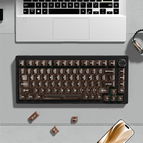 dagaladoo Clear keycaps,Transparent Keyboard keycaps,Jelly Key caps Set,Shine Through keycap,MDA Profile Keyboard caps for Mx Switches Mechanical Keyboard(Coffee) - color: Coffee