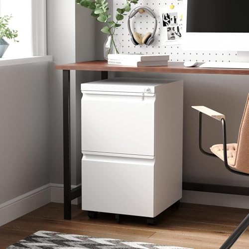 Letaya 2 Drawer Mobile File Cabinet with Lock,Under Desk Metal Filing Cabinets for Home Office Organizer Letters/Legal/A4(Fully Assembled-White) - color: White, size: 14.57"W X 17.32"D X 26.18"H