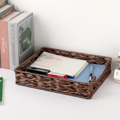 BTSKY Plastic A4 Paper Tray Organizer for Desktop Accessories, Hand-Woven File Holder with Sturdy Frame, All-in-One Storage for Letters, Magazines and Notebooks, Office and Home Supplies, Brown - color: Brown