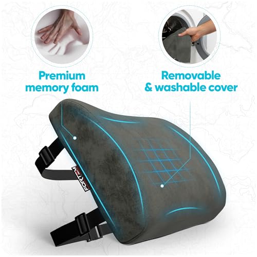 FORTEM Lumbar Support Pillow for Office Chair, Lumbar Support Pillow for Car, Back Rest for Gaming, Memory Foam Pillow, Desk Chair Cushion, Breathable & Washable Cover, Adjustable Straps - color: Dark Grey Velour
