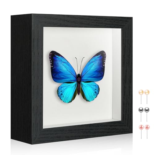 5x5 Shadow Box Picture Frame Display Case with Soft Linen Back-Thickened Panel,Small Mini Black Deep Shadow Memory Box Frame 5x5 for Insect Display Pet Photo Memorial Flower Craft - color: Black + Thickened Panel + Foam Packaging, size: 5x5