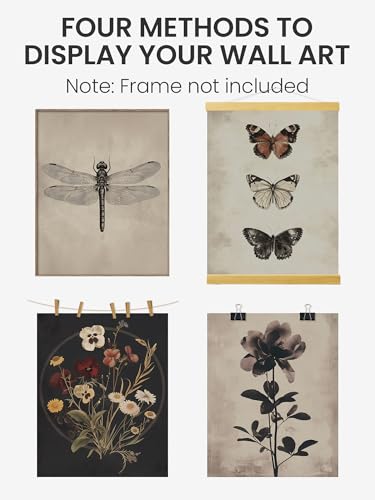 FGFK Moody Dragonfly Butterfly Floral Wall Art Prints Set of 4, Vintage Dark Cottagecore Insect Wildflower Botanical Posters Pictures Wall Decor for Home Bedroom Living Room, 8x10 Unframed - color: Moody Dragonfly