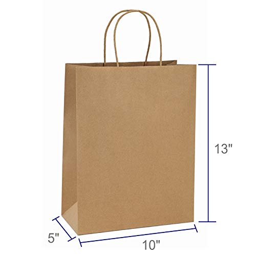 BagDream 10x5x13 Kraft Shopping Bags 100Pcs Brown Paper Bags with Handles Bulk, for Gifts, Merchandise, Retail, Party Favor, Take-out, Grocery, Recycled Paper Gift Sacks - color: Brown