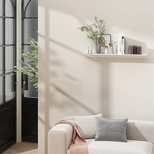 Danpoo 20 inch Long White Floating Shelf for Wall Organizer & Storage, Display Shelf, Metal Wall Shelf for Bathroom, Living Room, Kitchen, Bedroom - color: White, size: 20 in