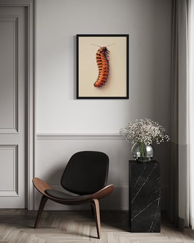 Caterpillar Wall Art Print Poster, Insect Posters Prints Enntomological Painting Artwork 221 (Caterpillar, 16 x 20 inches, Unframed) - color: Caterpillar, size: 20"L x 16"W