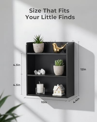 10"x 12" Small Trinket Display Shelf for Desk or Wall, Black | Fully Assembled, Wooden Shadow Box with Shelves, Display Case for Collectibles, Knick-Knack, Mini Figurines, Perfume, Crystal - color: Black
