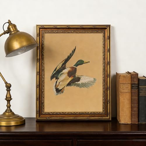 Electrilucn Gold Framed Flying Mallard Duck Canvas Wall Art Vintage Bird Wall Decor Rustic Antique Duck Poster Artwork Farmhouse Animal Picture for Living Room Bedroom Office Home Decor 12x16in - color: Flying Duck, size: 16"L x 12"W