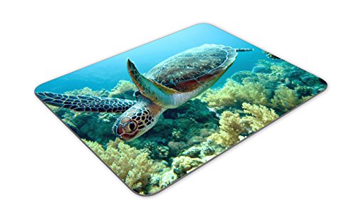 Green sea Turtle Natural Rubber Quality Creative Mouse Pad | Quality Creative Wrist-Protected Wristbands Personalized Desk, Mouse Pad (9.5 inch x 7.9 inch)