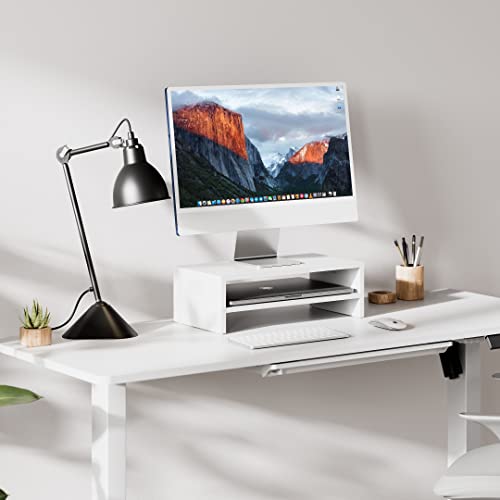 FITUEYES Monitor Stand - 2 Tier Computer Monitor Riser Shelf, Wood Desktop Stand for Laptop Computer Screen, Desk Organization, Office Supplies | For Laptop PC Screen Computer Printer TV, 2 Tiers, Non-slip Pads, Multi-functional, Multi-storage, Desk Shelf