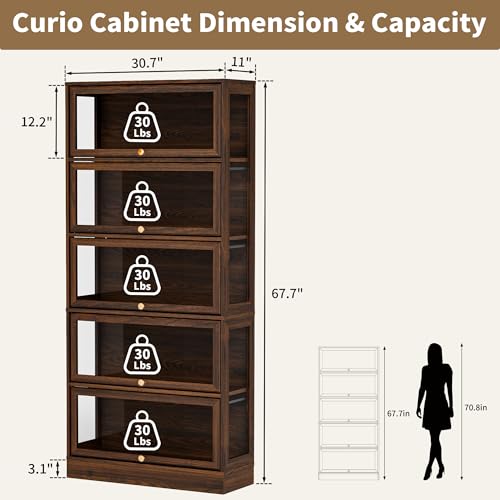 Display Cabinet with Acrylic Glass Doors,5-Tiers Curio Cabinet with LED Lighting for Collectibles, Collectibles Toy Organizers Rack & Display Shelf Display Case Storage Cabinet, Walnut - color: Walnut, size: 31" W x 67" H