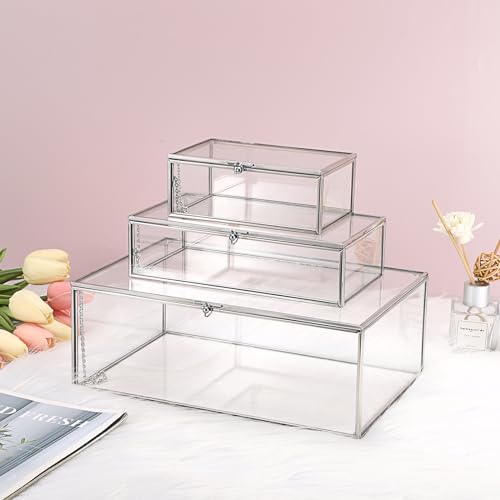 Hipiwe Vintage Silver Rectangle Jewelry Display Organizer Box with Lid, X-Large, USSN202312DUH - color: Silver, size: X-Large