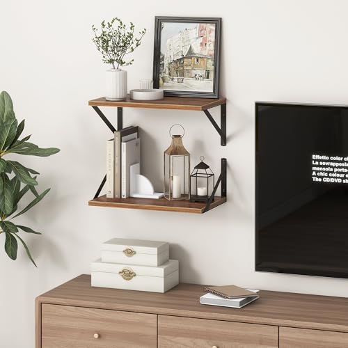 Fun Memories 10 Inch Deep Floating Shelves, Walnut Floating Shelf 16 Inch Long, 16" W x 10" D Wall Shelves Set of 2, Deep Shelves for Books, Wide Floating Shelves for Bahtoom, Living Room, Kitchen - color: Walnut, size: 16"W x 10"D