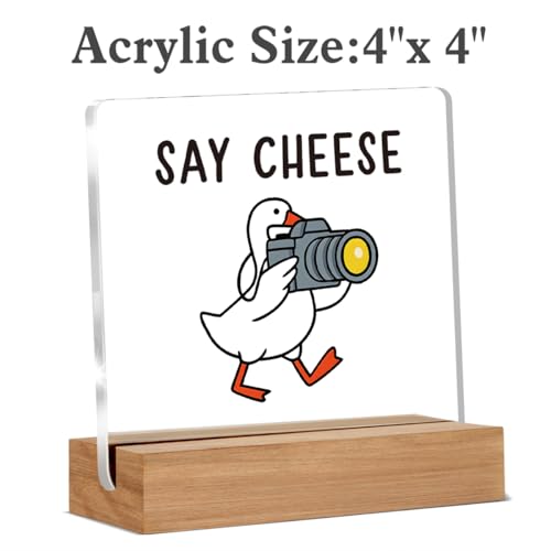 Photography Gifts for Photographers, Funny Camera Goose Gifts for Camera Lovers Friends Coworker, Photographer Acrylic Plaque Desk Signs Decor 4 × 4 Inches - color: CHEESE
