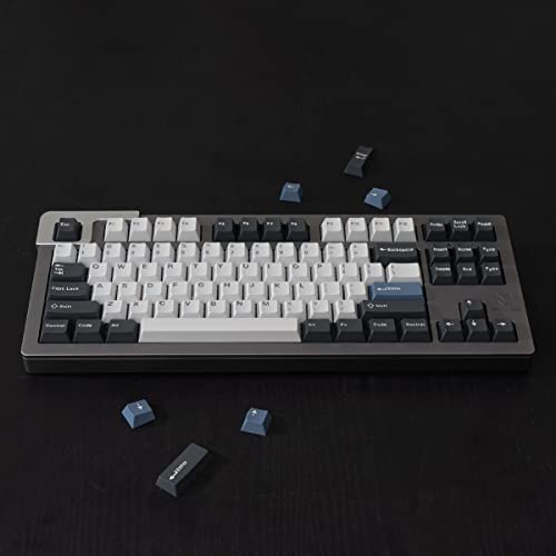 Cherry Arctic Profile Double Shot Keycaps Set of 173 for ANSI/ISO 60, 68, 75, 98 and 108 Layout Cherry Mx Switches, Mechanical Gaming Keyboard - color: arctic keyboard