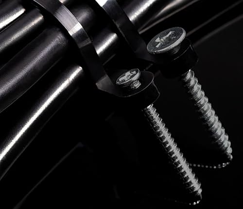 Black 5.9 Inch Nylon Zip Tie with Screw Holes, 100 Pcs, Includes 100 Pcs Black M4 x 12 Stainless Steel Screws for Daily Fastening - color: Black
