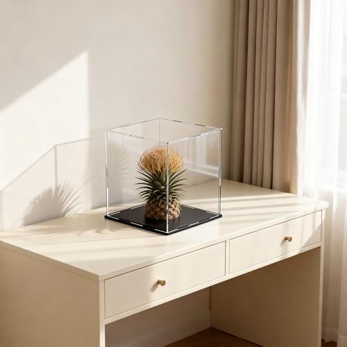Acrylic Display Case 7x7x7 Inch, Clear Collectible Display Box with Matte Black Base, Dustproof Showcase for Figures, Models, Sports Memorabilia – Easy Self Assembly - size: 7 x 7 x 7 inch
