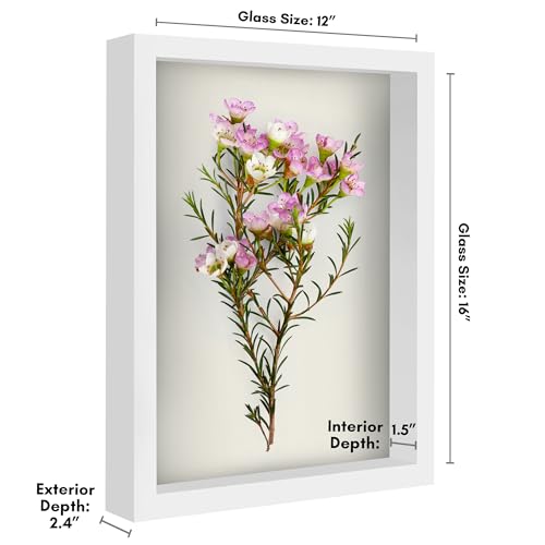 Americanflat 12x16 Shadow Box Frame with Polished Plexiglass - Silhouette Collection - Large Shadow Box Display Case for Tabletop and Wall Display - White with Soft Felt Back - color: White, size: 12x16