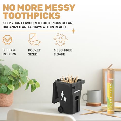 PurePix Flavoured Toothpick Holder Mini Black Trash Bin with Swing Lid for Flavored Toothpicks, Infused Toothpicks Storage Can for Desk or Car, Travel Toothpick Container, 5 Ounces Toothpick Bin - color: Black Bin