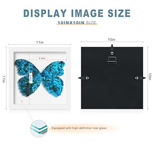 Picrit 10x10 Shadow Box Frame, Display Case Box with High Definition Real Glass and Black Back for Memorabilia, Baby Items, Wedding Memories, Crafts, Tickets and Photos, White - color: White, size: 10x10