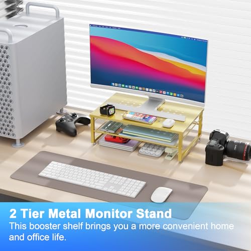 gianotter 2-Tier Metal Monitor Stand Riser, Desk Organizer for Monitor, Office Desk Storage Organizer for Office Supplies (Gold) - color: Gold