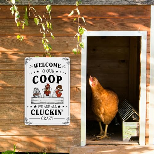 Chicken Coop Accessories, Funny Chicken Signs, Rooster Decorations Chickens Stuff For Farmhouse Farm Outside Kicthen Front Door Decor, Welcome To Our Coop Aluminium Plate Signs 12x8 Inches - color: Funny Chicken Coop Sign