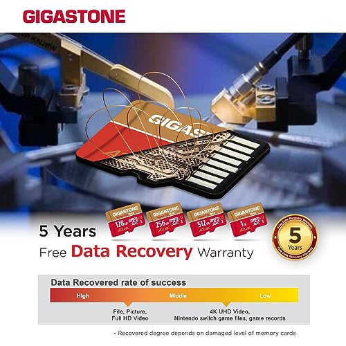【for Switch 1 Only】 GIGASTONE 256GB Micro SD Card, 4K Game Pro MAX, A2 V30 Memory Card for Gaming Console, 4K UHD Video, Up to 170/140 MB/s, UHS-I U3 C10 with Adapter【5-Years Data Recovery】 - color: 256GB Game Pro MAX 1-Pack