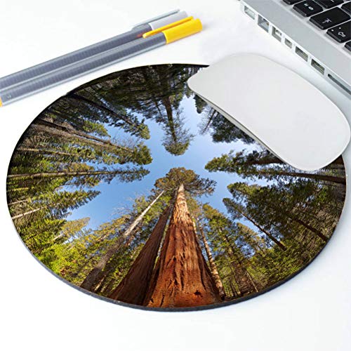 Gaming Round Mouse Pad Custom, Giant Sequoia Trees Mouse pad, Round Mousepad, Yosemite National park Mouse pad, Office Supplies, Present for Friend, Desk Accessories - color: AMR19