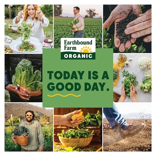 Earthbound Farm Organic Vegetable Tray with Ranch Dip 16oz