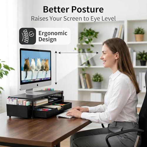 ECOLOVI Desk Organizer and Accessories, 2-Tier Computer Monitor Stand Rise with Storage Drawer & 2 Pen Holders, Laptop & Printer Stand for Desktop, Workspace Organizers for Office Supplies (Black 2-Pack)) - color: Black 2-Pack