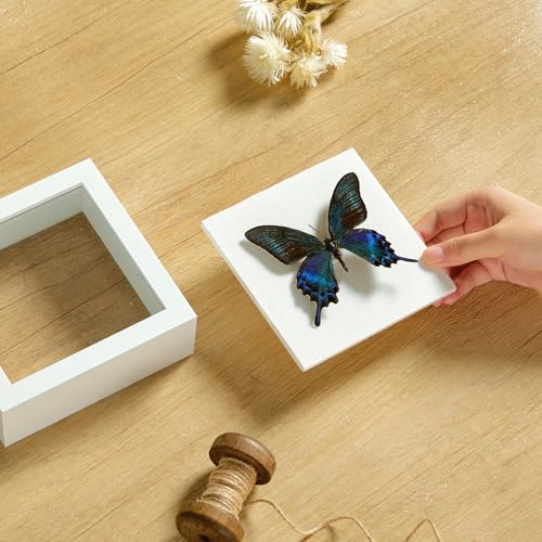 5x5 Shadow Box Picture Frame Display Case with Soft Linen Back-Thickened Panel,Small Mini White Deep Shadow Memory Box Frame 5x5 for Insect Display Pet Photo Memorial Flower Craft - color: White + Thickened Panel + Foam Packaging, size: 5x5