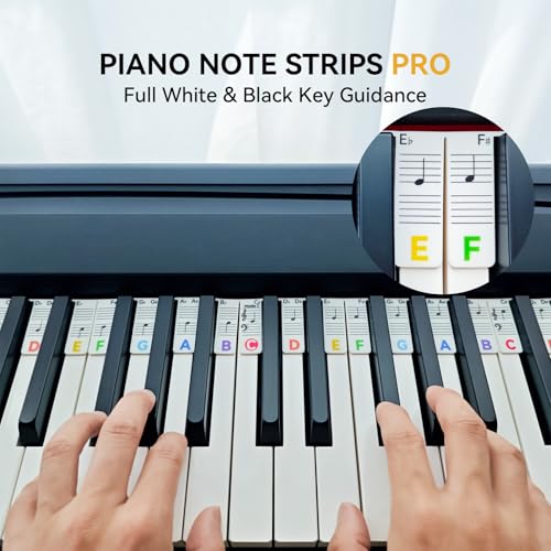BEATBIT Piano Notes Guide for Beginner, Removable Piano Keyboard Note Labels for Learning, 88-Key Full Size, Made of Silicone, No Need Stickers, Reusable and Comes with Box (Rainbow Colors Pro) - color: Rainbow, size: Pro