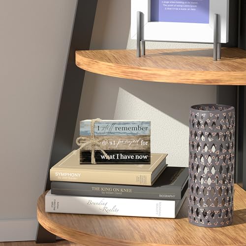 Decorative Books For Home Decor, Coffee Table Faux Wood Book Stack Decor, I Still Remember Modern Stacked Book Decor, Stacked Display Books For Shelf Mantel Nightstand Display, Three Pieces -C(08) - style: I still remember -03