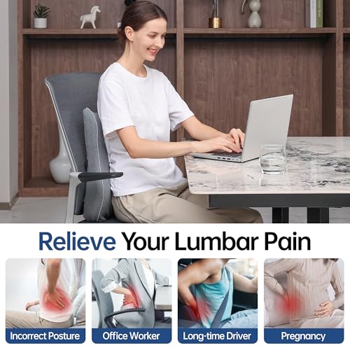 Soft Comfortable Memory Lumbar Support Pillow Back Cushion for Office Chair | Built-In Adjustable Straps Secure Reduce Back Soreness Pressure Distribution Breathable Premium Fabric Long-lasting Support - color: Grey