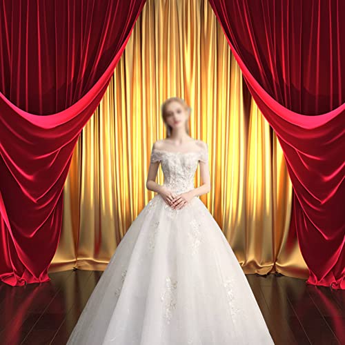 10x8ft 3D Rendering Theater Stage Theme Photography Backdrops Golden and Red Curtains Photo Studio Props Vinyl Background for Wedding Birthday Party Decoration Banner - size: 10x8FT(300CM X 240CM)