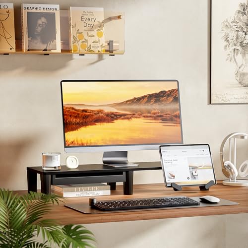 PEGZONE Monitor Stand Riser for Desk, Ergonomic Computer Riser with Storage Drawer, Desktop Shelf Organizer for PC, Laptop, for Home Office