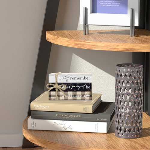 Decorative Books For Home Decor, Coffee Table Faux Wood Book Stack Decor, I Still Remember Modern Stacked Book Decor, Stacked Display Books For Shelf Mantel Nightstand Display, Three Pieces -C(11) - style: I still remember -06
