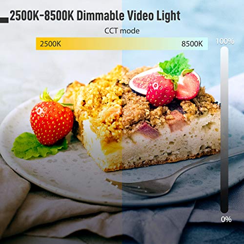 Moman Portable LED Video Light, Aluminum Alloy On-Camera Light, Built-in Battery & USB-C Charging, 2500K-8500K RGB Dimmable, CRI 96+ Photography Fill Light with 1/4" Screw for DSLR, Vlog, YouTube - size: ML9R without diffuser