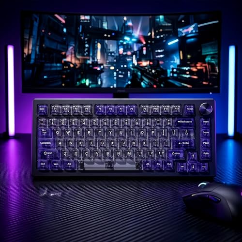 dagaladoo Transparent Black Purple Keycaps,Glossy Jelly Key caps Clear | Shine Through keyboard keycaps translucent,MDA Profile,115 keys PC keycaps for Mechanical Keyboard with MX Switches - color: Black and Purple