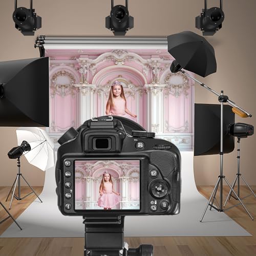 Pink European Palace Wall Backdrops 7x5ft Classic Room Interior Wall Gypsum Pattern Background Princess Girls Birthday Decors Wedding Baby Shower Banner Photo Booth Studio Props Photoshoot - color: pink and white, size: 7x5ft
