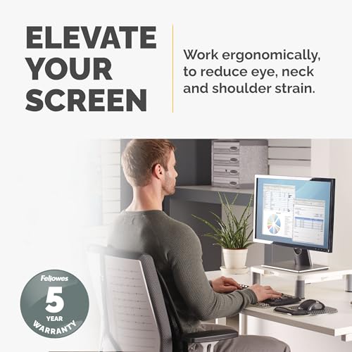 Fellowes Standard Monitor Riser (91712), Platinum/Graphite - size: 1 Count (Pack of 1)