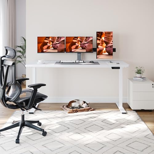 Dual Motor Standing Desk, Large Stand Up Desks, 71x31 Inches Electric Sit Stand Desk, 4 Memory Preset Adjustable Height Desks Home Office Desks(White) - color: White, size: 7131