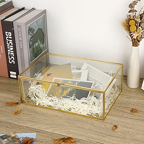 Hipiwe Vintage Glass Keepsake Box - Rectangle Jewelry Display Organizer, Vanity Lidded Home Decor Accent for Storage Trinket Rings Bracelet Rock - X-Large - color: Gold, size: X-Large