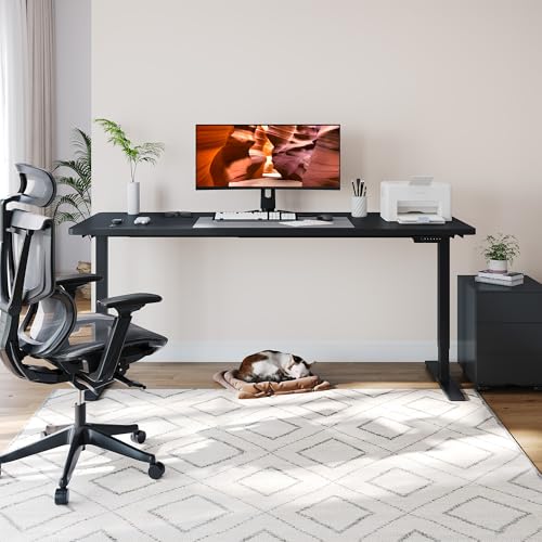 Dual Motor Standing Desk, Large Stand Up Desks, 79x31 Inches Electric Sit Stand Desk, 4 Memory Preset Adjustable Height Home Office Desk (Black) - color: Black, size: 7931