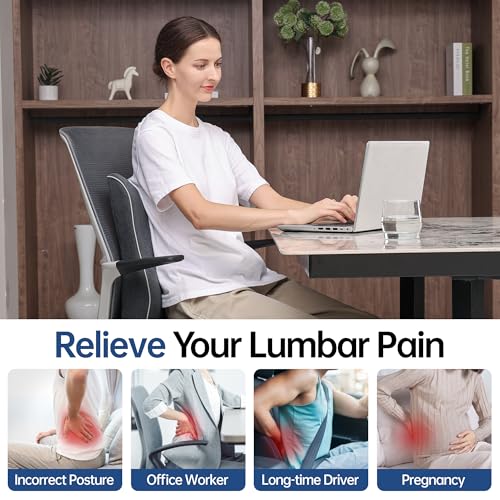 Soft Comfortable Memory Lumbar Support Pillow Back Cushion for Office Chair | Built-In Adjustable Straps Secure Reduce Back Soreness Pressure Distribution Breathable Premium Fabric Long-lasting Support - color: Dark Grey