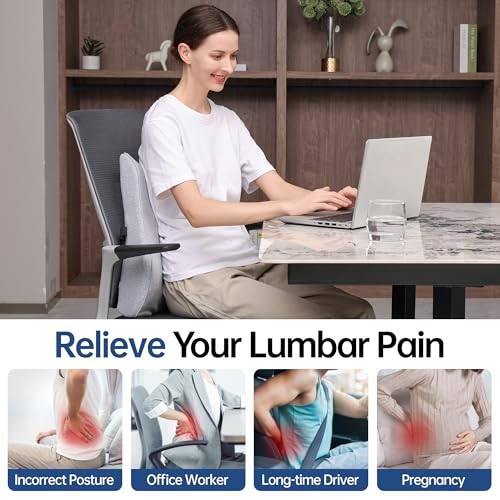 Soft Comfortable Memory Lumbar Support Pillow Back Cushion for Office Chair | Built-In Adjustable Straps Secure Reduce Back Soreness Pressure Distribution Breathable Premium Fabric Long-lasting Support - color: Light Grey
