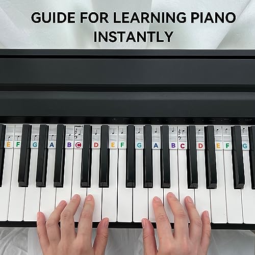 BEATBIT Piano Notes Guide for Beginner, Removable Piano Keyboard Note Labels for Learning, 88-Key Full Size, Made of Silicone, No Need Stickers, Reusable and Comes with Box (Rainbow Colors) - color: Rainbow, size: Classic